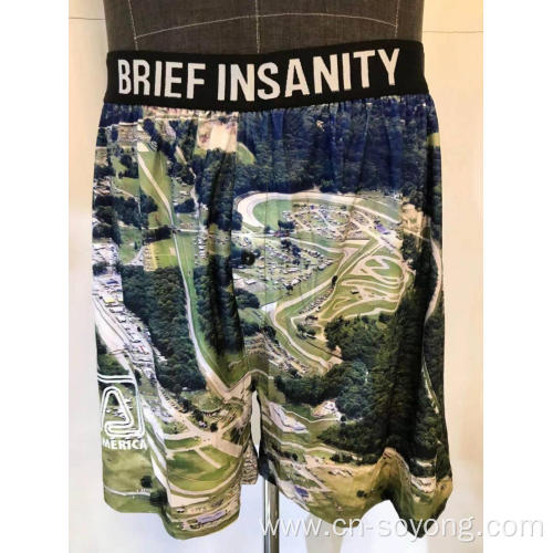 Polyester Spandex Shorts Men's Custom Design Sublimation Printed Brief Shorts Manufactory